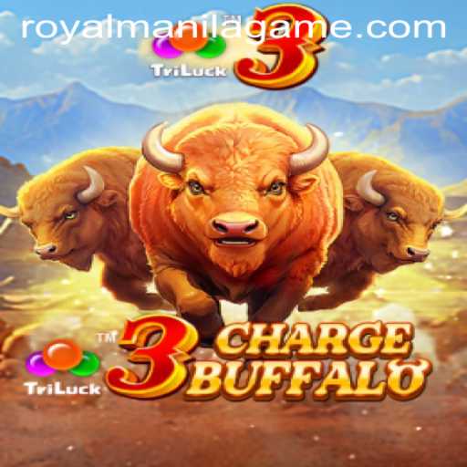 Exploring the Exciting World of 3ChargeBuffalo